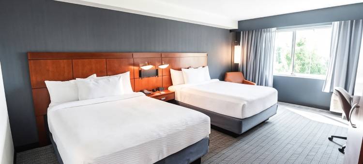 费城斯普林菲尔德庭院(Courtyard Philadelphia Springfield)图片