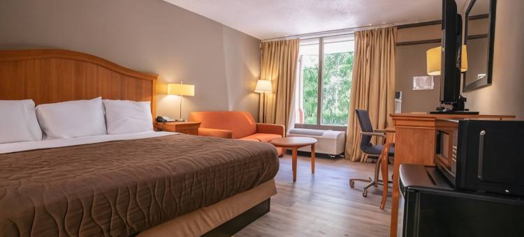 OYO酒店-格林斯伯勒东I40(OYO Hotel Greensboro East I 40)图片