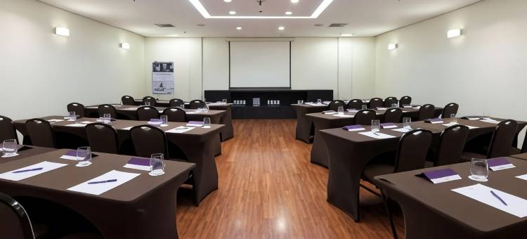 宜必思坎皮纳斯酒店(Ibis Campinas)图片