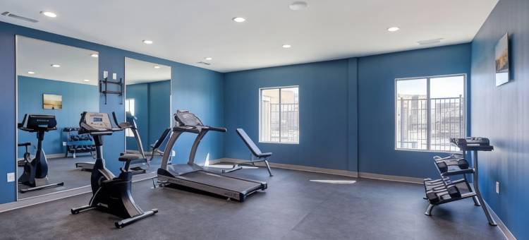 舒适酒店及套房巴尔奇斯普林斯 - 达拉斯东南(Comfort Inn & Suites Balch Springs - SE Dallas)图片