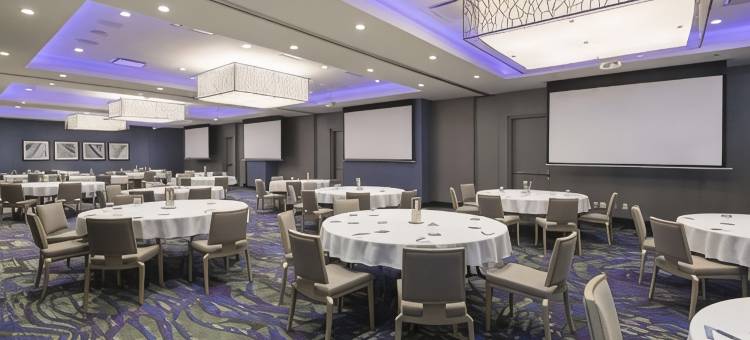 渥太华市中心希尔顿花园酒店(Hilton Garden Inn Ottawa Downtown)图片