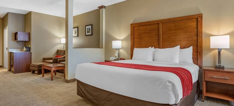 舒适套房酒店-近拉什莫尔山(Comfort Inn & Suites Near Mt Rushmore)图片
