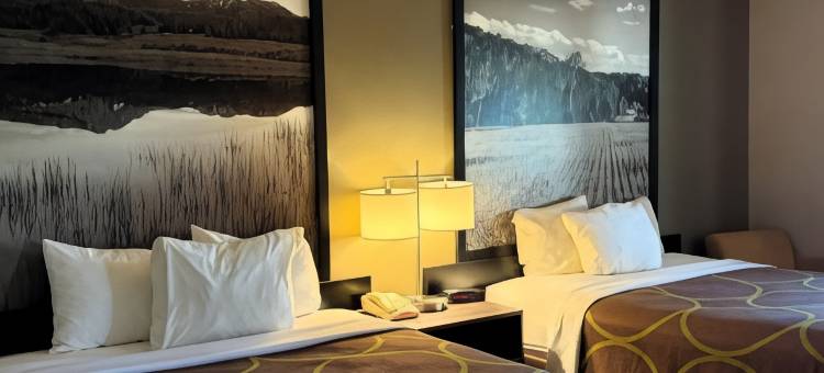 瓦斯城马里恩区速8酒店(Super 8 by Wyndham Gas City Marion Area)图片