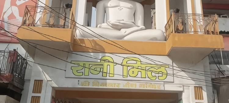 Green Serene Abode图片