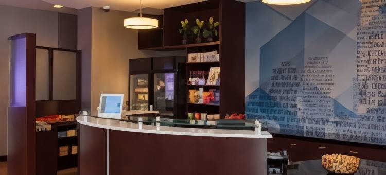 伯明翰科罗内德／格兰德维尤万豪SpringHill酒店(SpringHill Suites Birmingham Colonnade/Grandview)图片