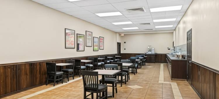 弗朗西斯酒店(Hotel Francis)图片