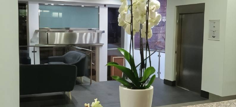 ELE阿库厄杜克托大酒店(Hotel ELE Acueducto)图片