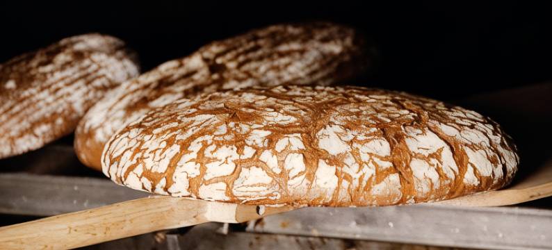 汉柯酒店(Hotel Hecher)图片