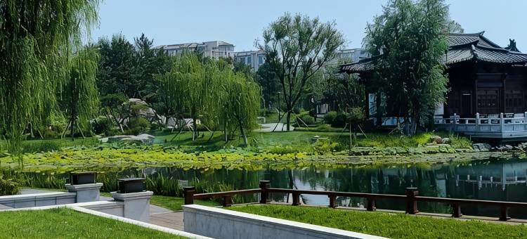 金孔雀都市花园国际酒店(雄安新区容城政务中心店)图片