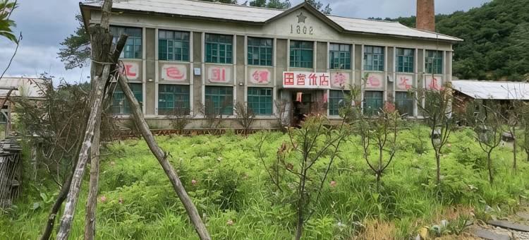 东北知青民宿图片