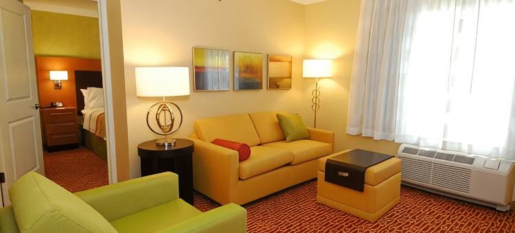 阿伦德尔米尔斯巴尔的摩国际机场TownePlace Suites酒店(TownePlace Suites Arundel Mills BWI Airport)图片