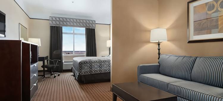敖德萨索内斯塔精选酒店(Sonesta Essential Hotels Odessa)图片