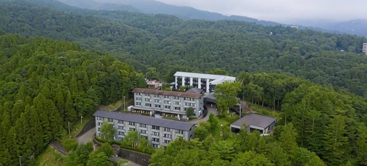 山中湖 新星 酒店(NEW STAR HOTEL YAMANAKAKO)图片