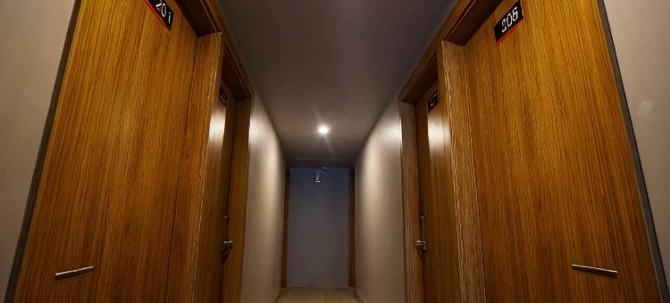 棉兰瓜拉纳穆机场热闹酒店(The Lively Hotel Kualanamu)图片