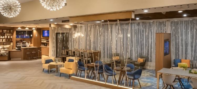 坦帕西岸万豪酒店(Marriott Tampa Westshore)图片
