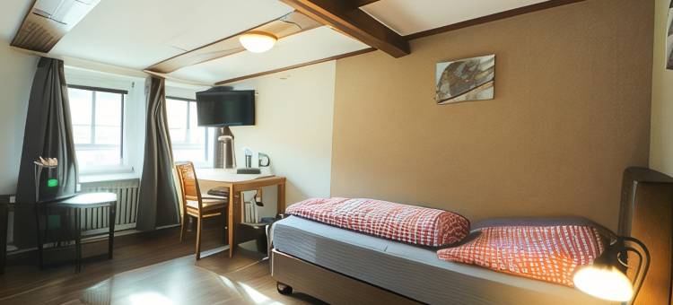 达尔威歌克尔尔托酒店(Hotel am Dalwigker Tor)图片