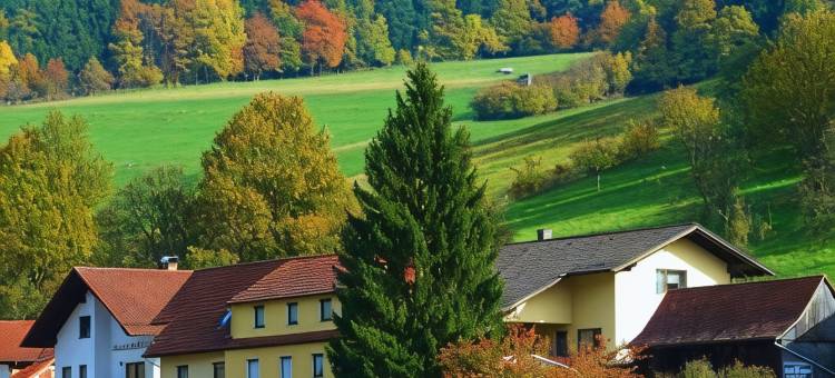 皇冠旅馆(Hotel Gasthof Zur Krone)图片