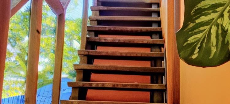 康特内尔庭院(Quintal do Contêiner em Manguinhos)图片