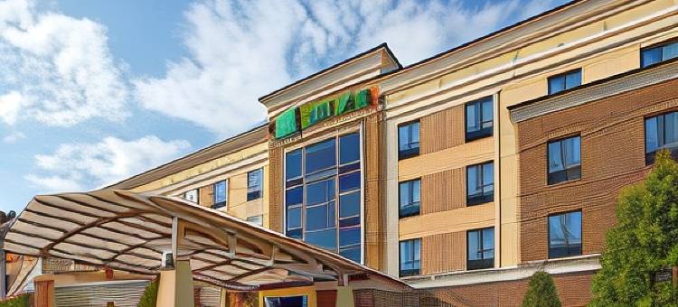 Holiday Inn 阿林顿东北流浪者棒球场(Holiday Inn ARLINGTON NE-RANGERS BALLPARK by IHG)图片