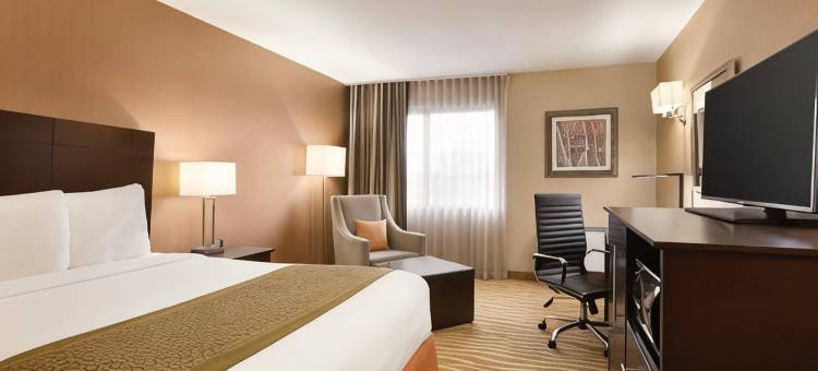 多伦多万锦丽柏酒店(Park Inn by Radisson Toronto-Markham)图片