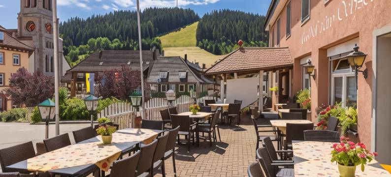 盖斯豪弗兹姆奥斯恩酒店(Gasthof Zum Ochsen)图片