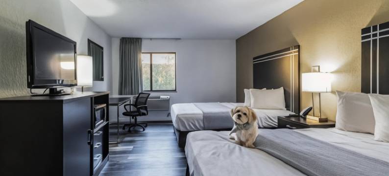 伊克诺旅馆-克利夫兰东南-肯特(Econo Lodge Cleveland Southeast - Kent)图片