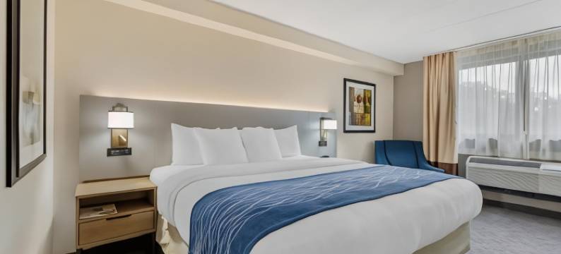 赫恩登 - 里斯顿舒适酒店(Comfort Inn Herndon-Reston)图片