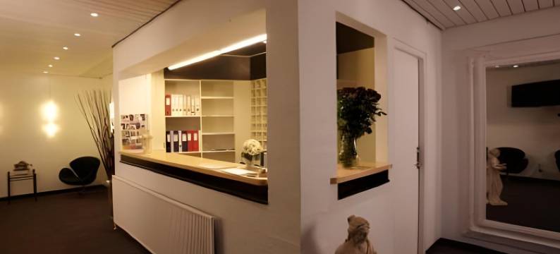 海宁海豚酒店(Dolphin Hotel Herning)图片