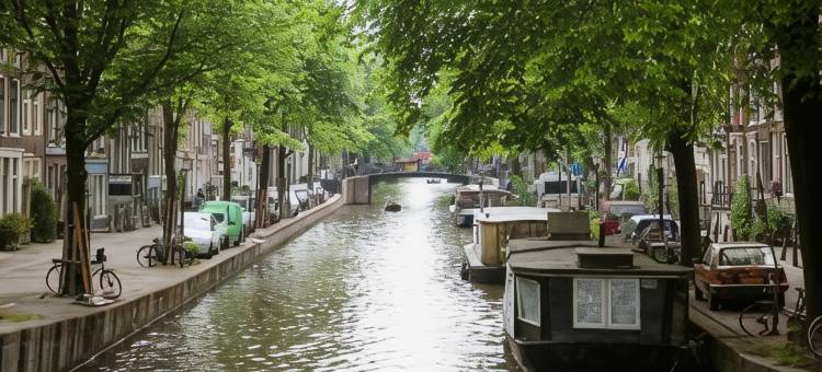 阿姆斯特丹飞天猪城青年旅舍(The Flying Pig Uptown)图片