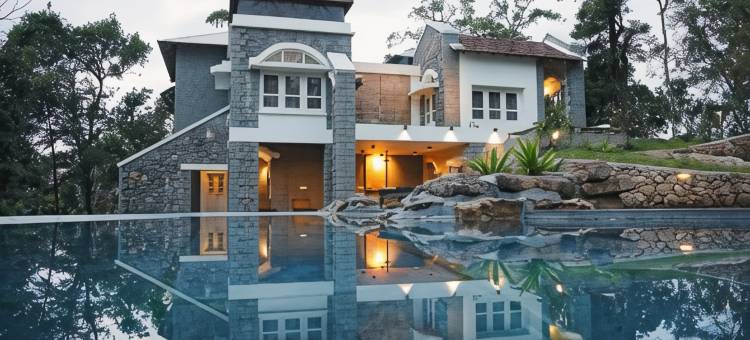 香料树Rajakumari(SpiceTree Rajakumari)图片