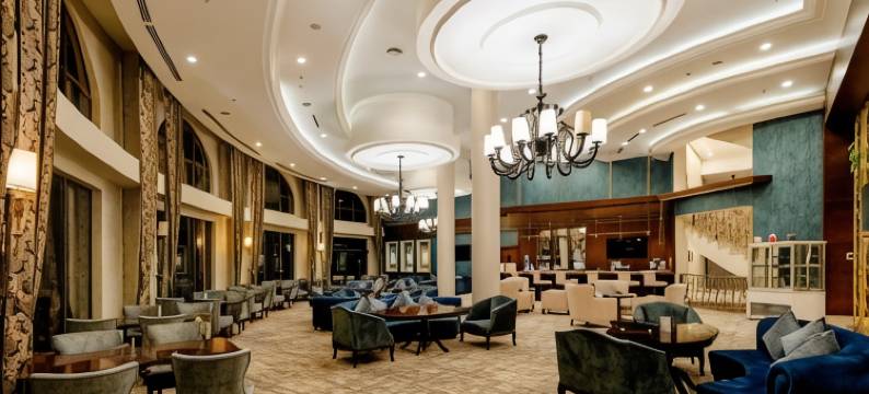 名门豪华酒店(Wellborn Luxury Hotel)图片