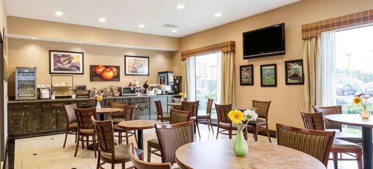 舒适套房酒店(Comfort Inn & Suites)图片