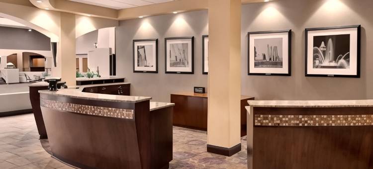 堪萨斯城国际机场希尔顿安泊酒店(Embassy Suites by Hilton Kansas City International Airport)图片