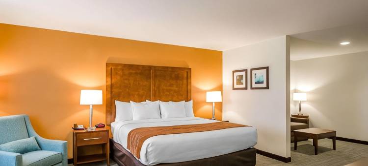 舒适酒店(Comfort Inn)图片