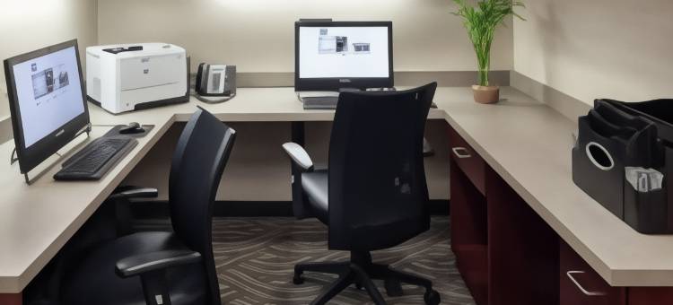 韦斯特福德切姆斯福德欢朋套房酒店(Hampton Inn & Suites Westford-Chelmsford)图片