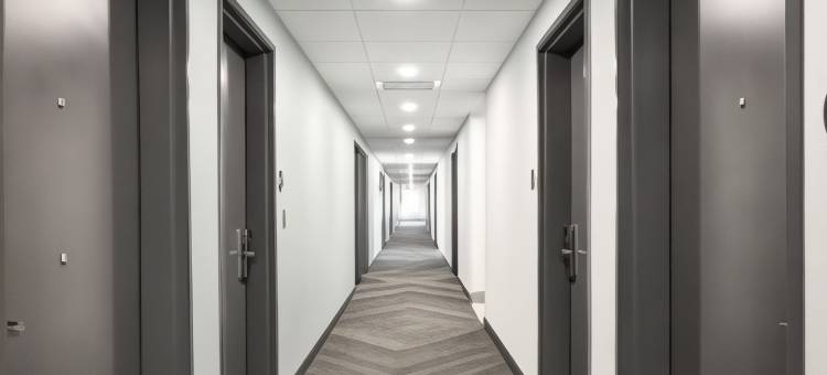 萨姆特希尔顿Tru酒店(Tru by Hilton Sumter)图片