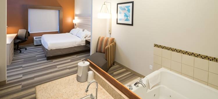 智选假日套房酒店底特律 - 乌蒂卡(Holiday Inn Express & Suites Detroit - Utica)图片