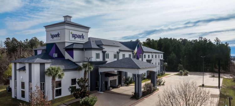 纳科多奇斯希尔顿Spark酒店(Spark by Hilton Nacogdoches)图片