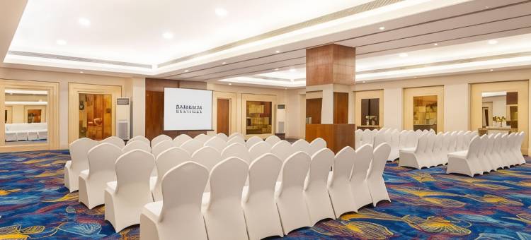 法里达巴德丽亭酒店(Park Plaza Faridabad)图片