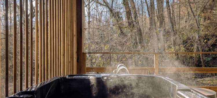 维拉斯城堡(Château de Villars, Chambres, Lodges Avec Spa)图片