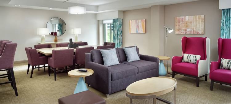 亚特兰大巴克海特希尔顿花园酒店(Hilton Garden Inn Atlanta-Buckhead)图片