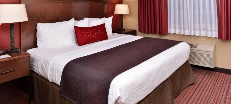 伍德兰德贝斯特韦斯特酒店(Best Western Woodland Inn)图片