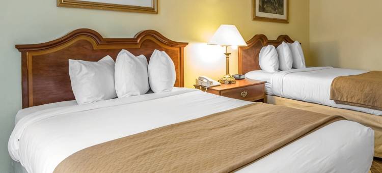 凯艺酒店(Quality Inn)图片
