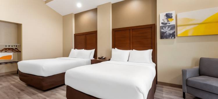 舒适套房酒店(Comfort Suites)图片
