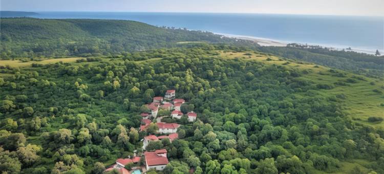 Amritara Aura度假村和Spa(Amritara Aura Resort & Spa)图片