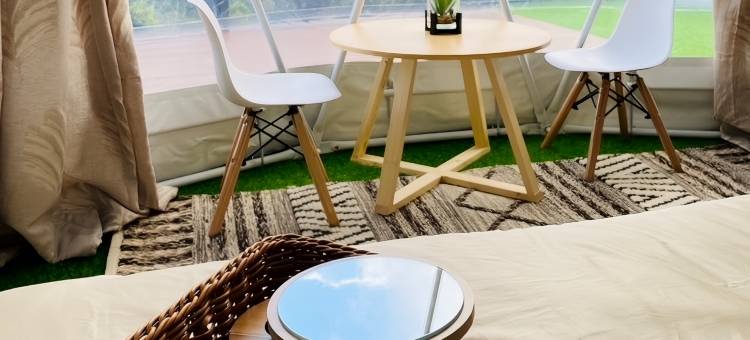 塌吗茶(Tham ma chard)图片