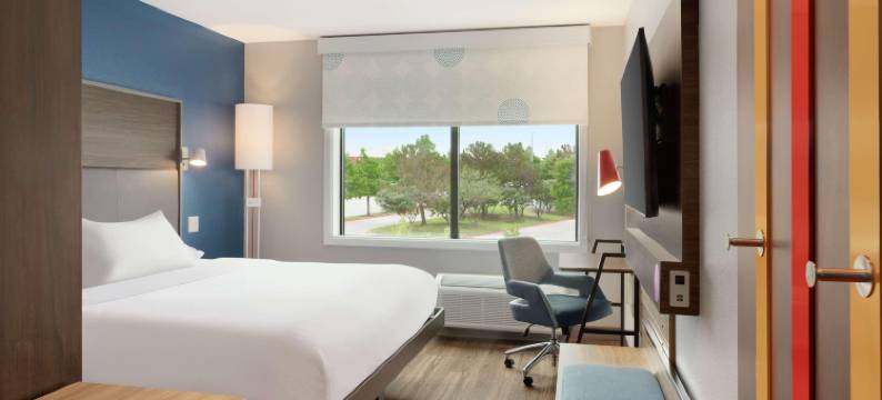 达拉斯弗赖拉辛希尔顿特鲁酒店(Tru by Hilton Frisco Dallas)图片