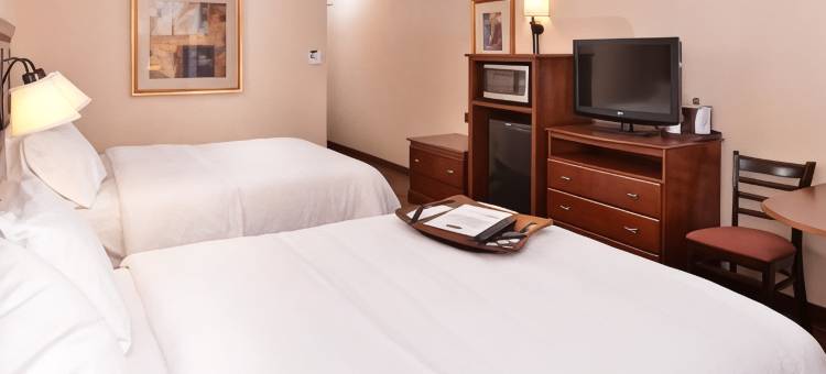 金曼欢朋酒店及套房(Hampton Inn & Suites Kingman)图片