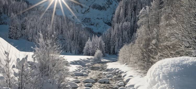 Loire-Gerbier-Mézenc图片