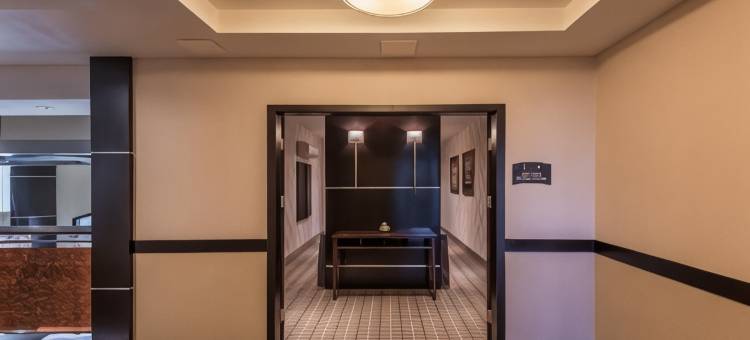 Staybridge Suites DFW机场北 by IHG(Staybridge Suites DFW Airport North)图片